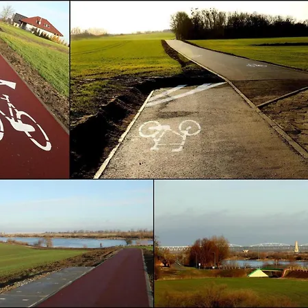 Premium Zamkowa C09 * トチェフ