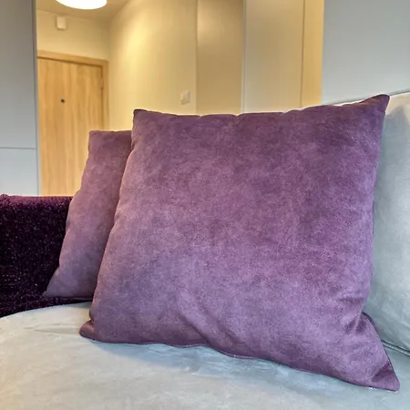 Premium Zamkowa C09 アパート トチェフ