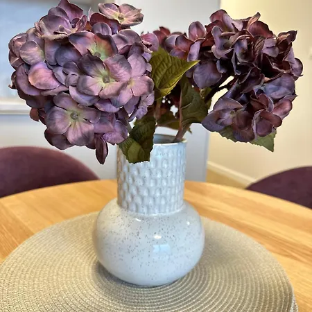 アパート Premium Zamkowa C09 トチェフ