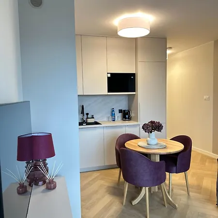 Premium Zamkowa C09 Apartment Tczew