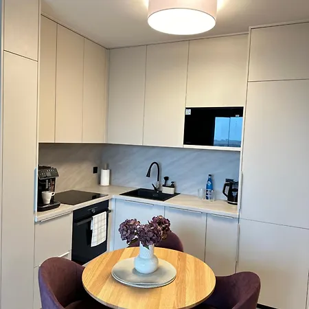 Apartment Premium Zamkowa C09