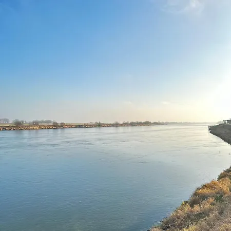 Premium Zamkowa C09 *