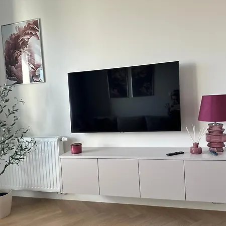 Апартаменты Premium Zamkowa C09 Тчев