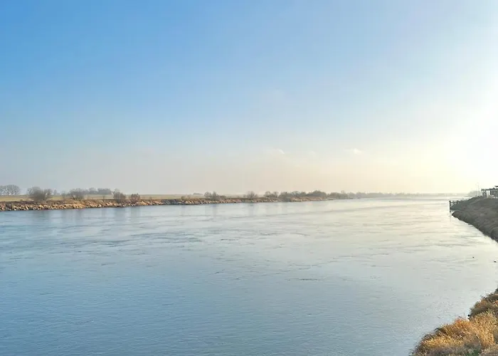 Premium Zamkowa C09 *